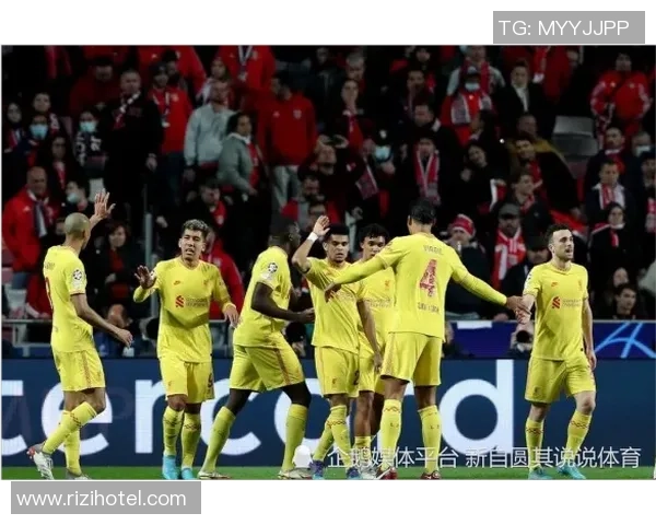 曼城与狼队对决数据分析全景解析及战术探讨 曼城与狼队对决数据分析全景解析及战术探讨